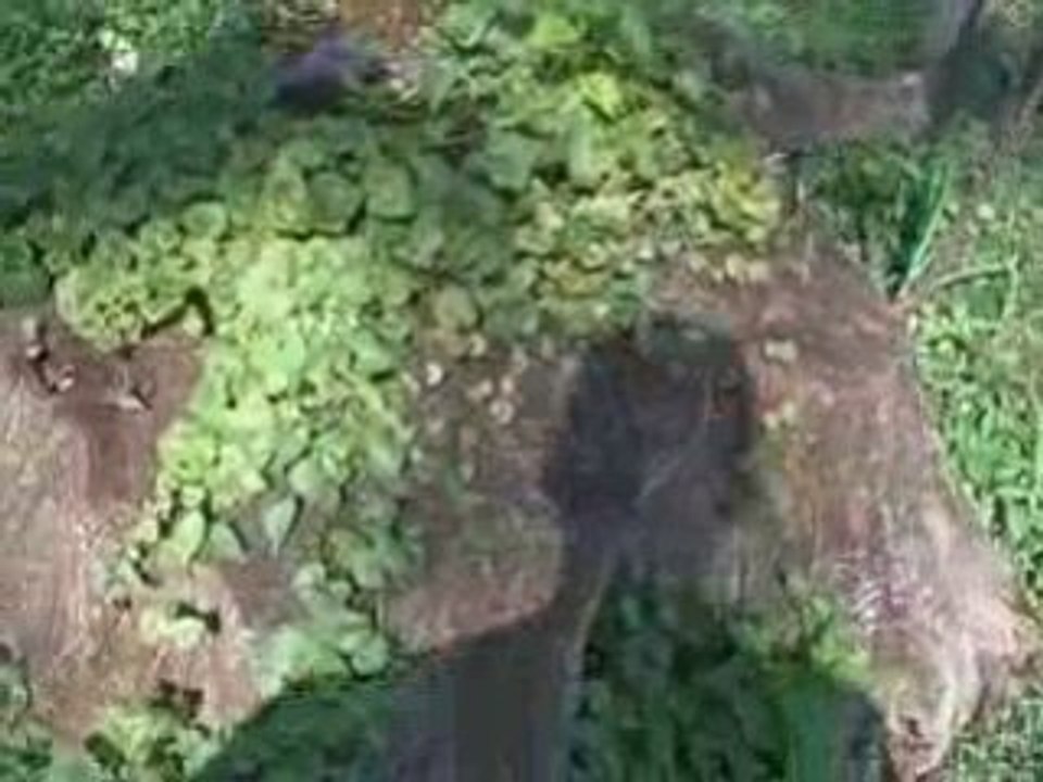 Zach Even - Esh's Underground Strength Show - Episode 4