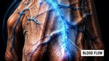 🖐️ Why do the veins on your hands suddenly become more visible?