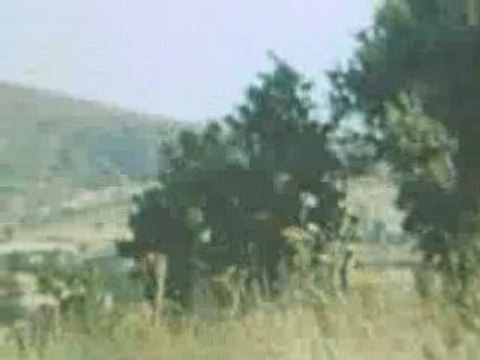 kööyden görünüs