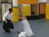 Aikido Vs Karaté (Video de Fabio Branno)