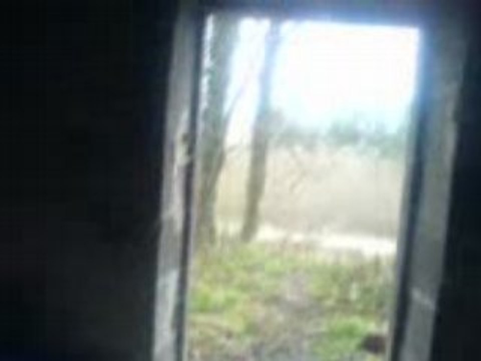 MOV00021