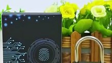 👆 Your Finger Is the Key 🔐 | 2026 Smart Fingerprint Padlock