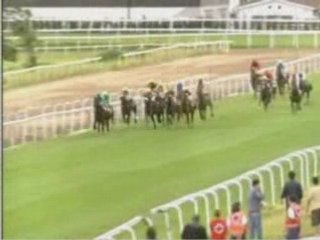 2008 (210) Premio A GALOPAR (Categoría C) (ESTAY)