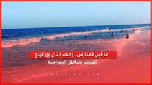 ما قبل المدارس.. رحلات الداي يوز تودع الصيف بشاطئ السوايسة