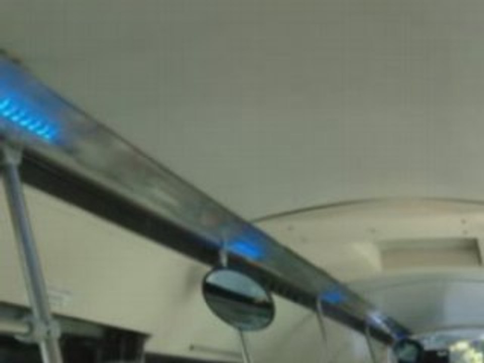 Bus