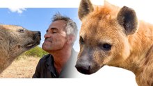 Hyena Tribute Video: Kevin Richardson Says Goodbye to Nancy