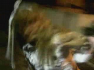 Someday Hikaru and Kaoru