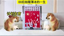 00后如履薄冰的一生 #00后 #真实 #猫meme #人生 #感慨