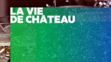 Les trésors des vignobles français - Bande annonce