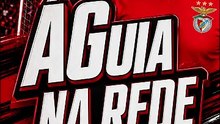 Águia Na Rede Marco Silva ganha dois médios antes do Marítimo e do calendário intenso
