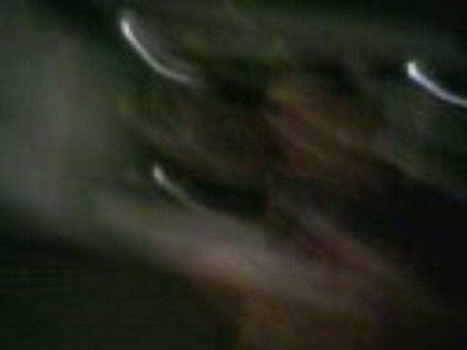 Vidéo-0002