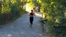Son chien s’arrête en pleine forêt : ce qu’elle découvre est totalement inattendu 😳