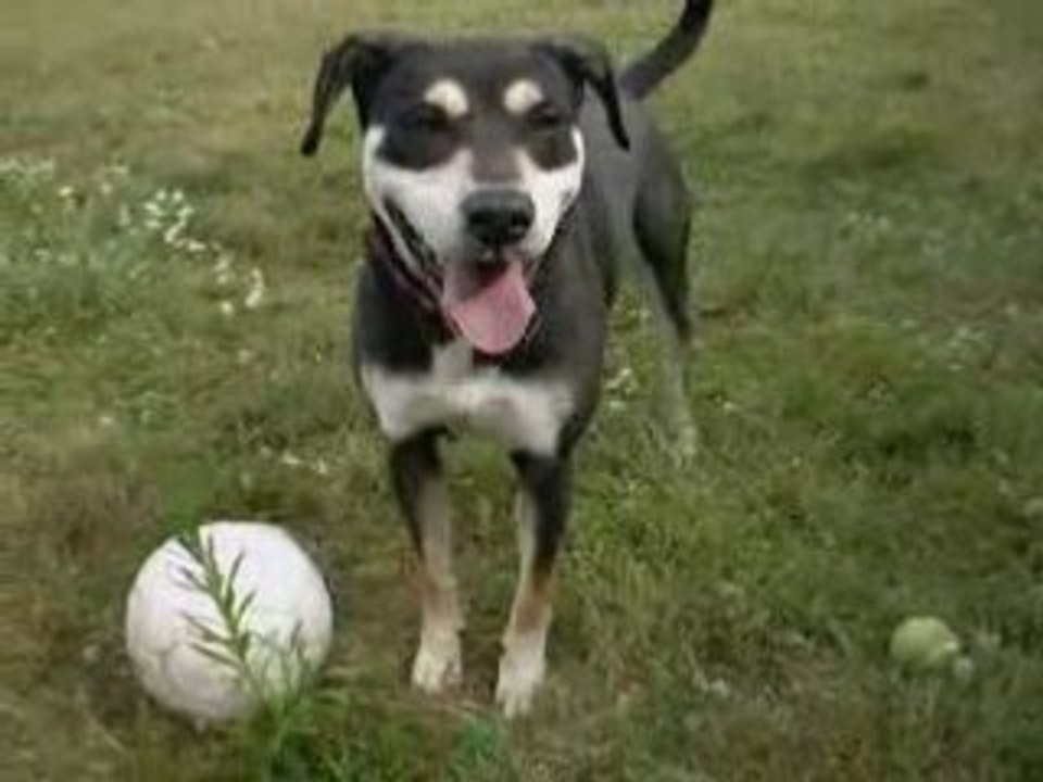 Siska aime son ballon
