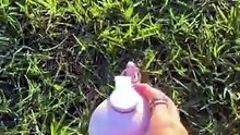 Portable Pet Water Bottle & Bowl | Easy Hydration On The Go 🐾