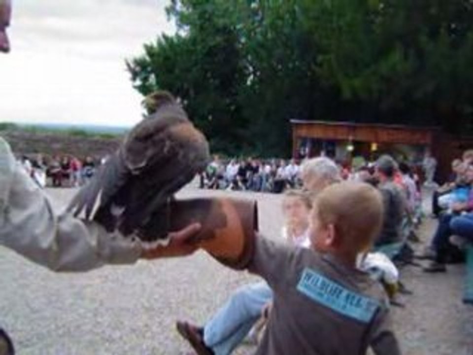 Volerie des Aigles