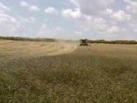 CLAAS MEDION 340 HARVESTING THE WHEAT 2008...!!!