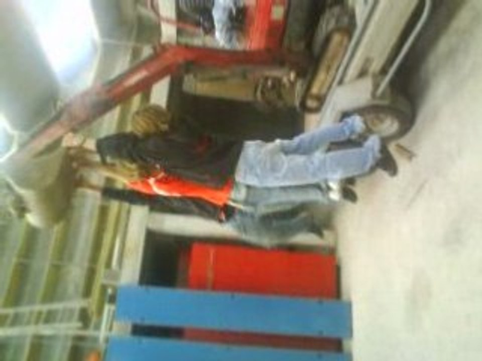 nos coneries