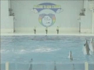 Rio Yamashita Hackeijima sea paradise cf