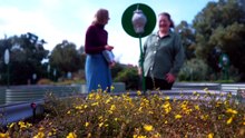 Adelaide’s Torrens Lake reopens despite residual filth and litter in it
