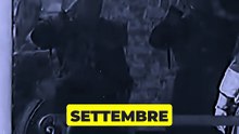 1948: la reina Guillermina desafió a Hitler y luego abdicó