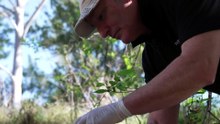 Sydney to pump treated sewage into Parramatta River