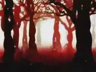 Glass eye ( amazing nuts ! )