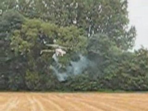 Trex 600 Nitro - Petite voltige et vol dos