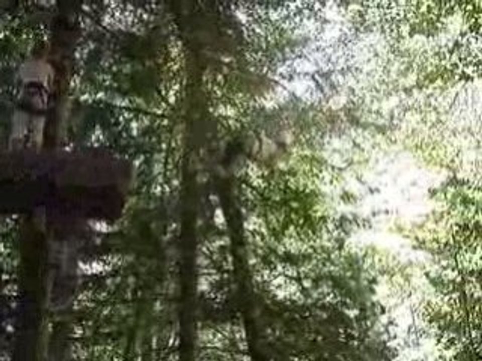 MOV05238