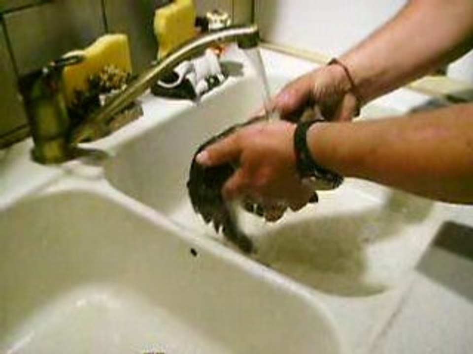 Premier bain Dandy