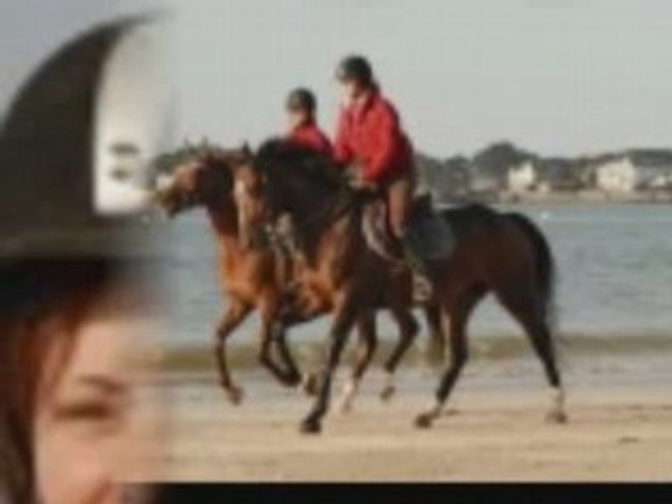 La baule 1