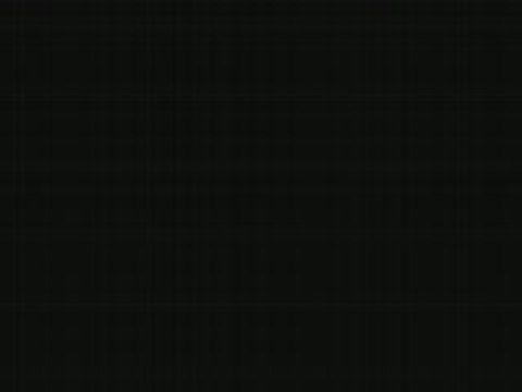 Zig Osamodas lvl 11X dofus menalt