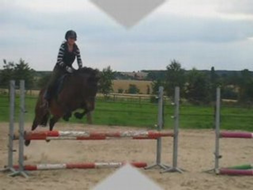 Cour d'obstacle avec lara