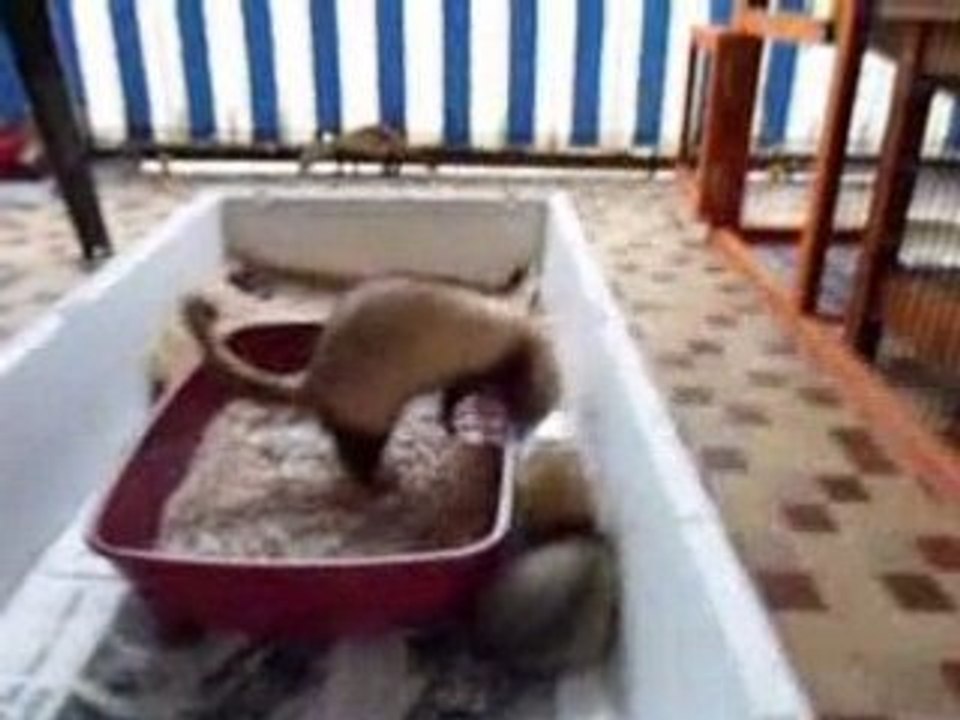 Intégration 1er jour.MOV