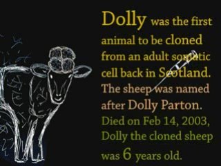 A History of Chips + Original Song (Mind Control)