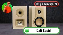 Probando los Dali Kupid: ¿realmente valen la pena?