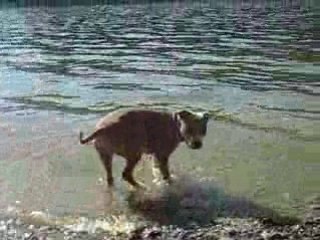 Mimi Nadja l'eau elle aime ça :-