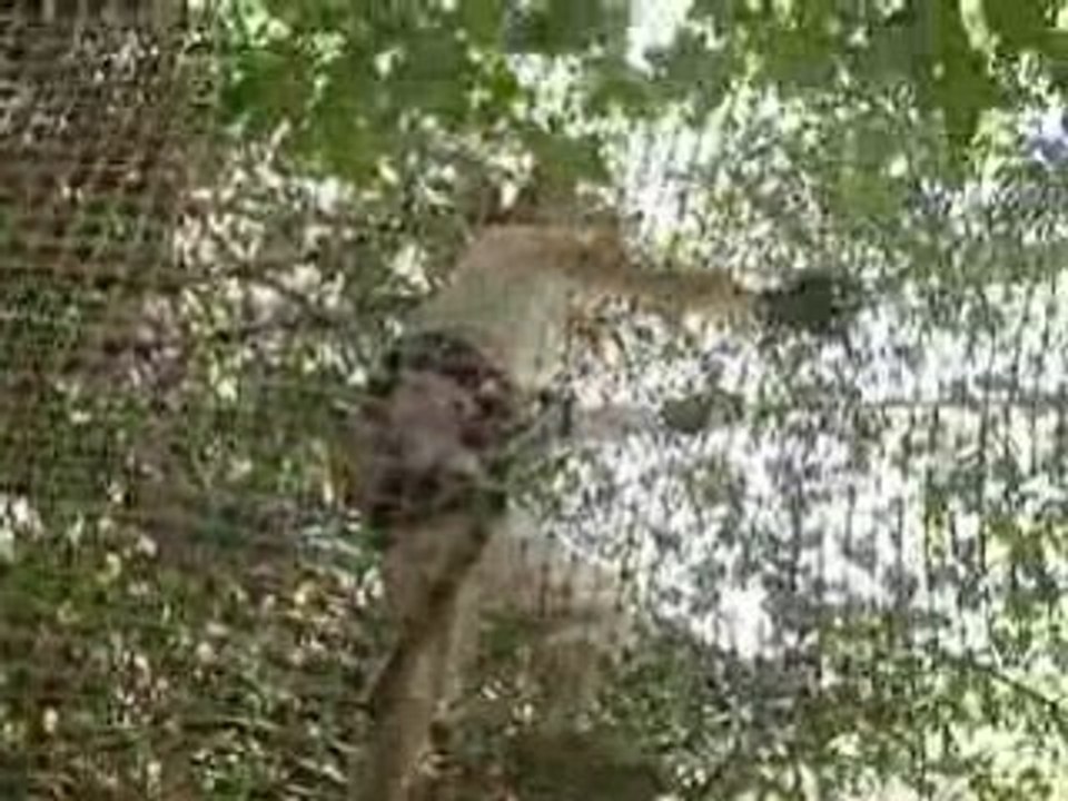 MOV05242