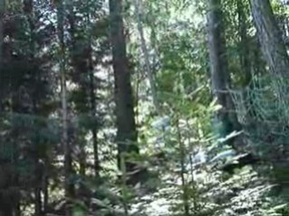 MOV05245
