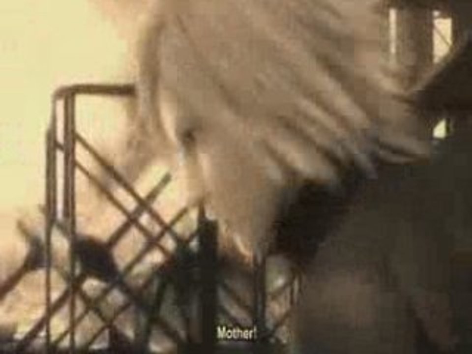 AMV no comment
