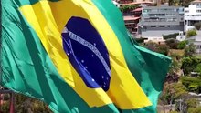 Quem foi Carlos Alberto Parreira? Curiosidades do técnico campeão do mundo #Shorts