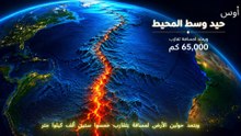 معلومات مفيدة