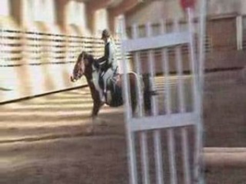 Détente concours poney du 03/02/08 2eme partie