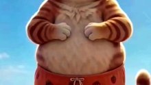 Funnycat 🤣