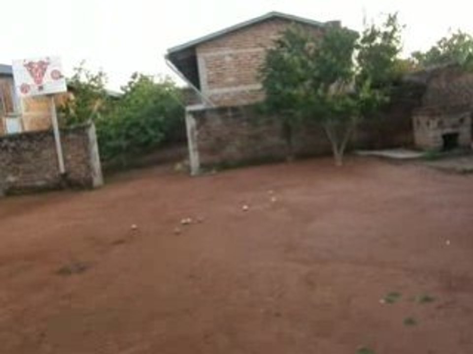 Bob et la petanque au Tchad