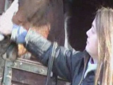 Détente concours poney du 03/02/08 6eme partie