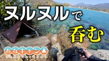穴釣りキャンプでヌルヌル魚を味わう！漁港の穴に仕掛けを落とした瞬間の反応
