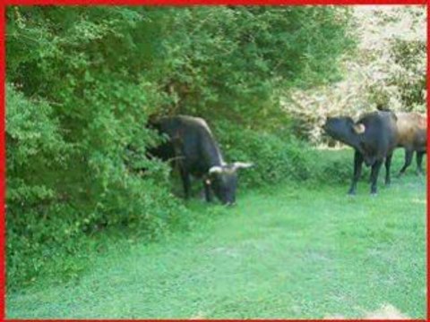 La ferme Céres de Cours et Buis