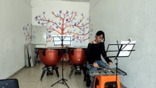 Extractos de Huapango y Peer Gynt