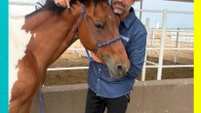 Arturo Islas celebra la apertura del Santuario Kawayo, ¡ya alberga a 200 caballos!