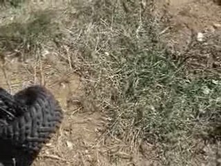 RCTUTKU 26.07.08 Maltepe Buluşması 13